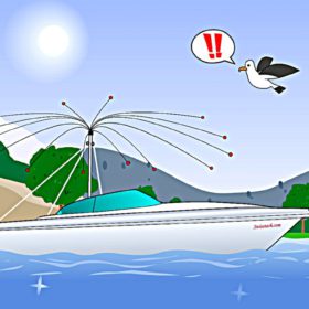 Möwenschutz Standard