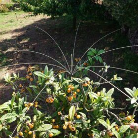 Vogelschutz für Balkon und Garten