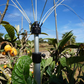 Vogelschutz für Balkon und Garten