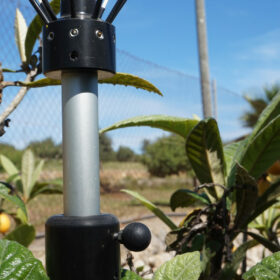 Vogelschutz für Balkon und Garten