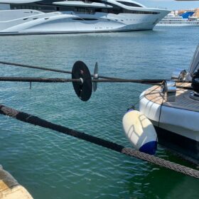 Rattenschutz an Leinen