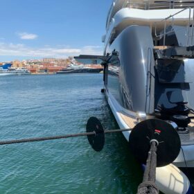 Rattenschutz an Leinen