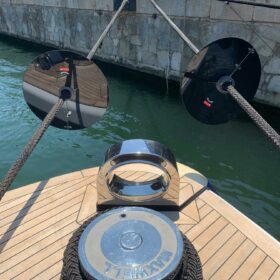 Rattenschutz an Leinen