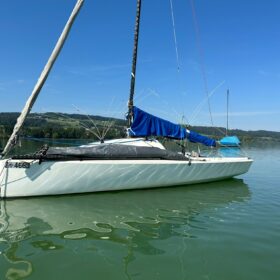 Seagull Protection for Your Boat - SWI-TEC Makes It Simple: No more hassle with bird droppings! Effortlessly mount our seagull protection and preserve your boat from contamination.