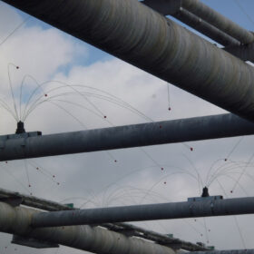 Möwenschutz für die Industrie